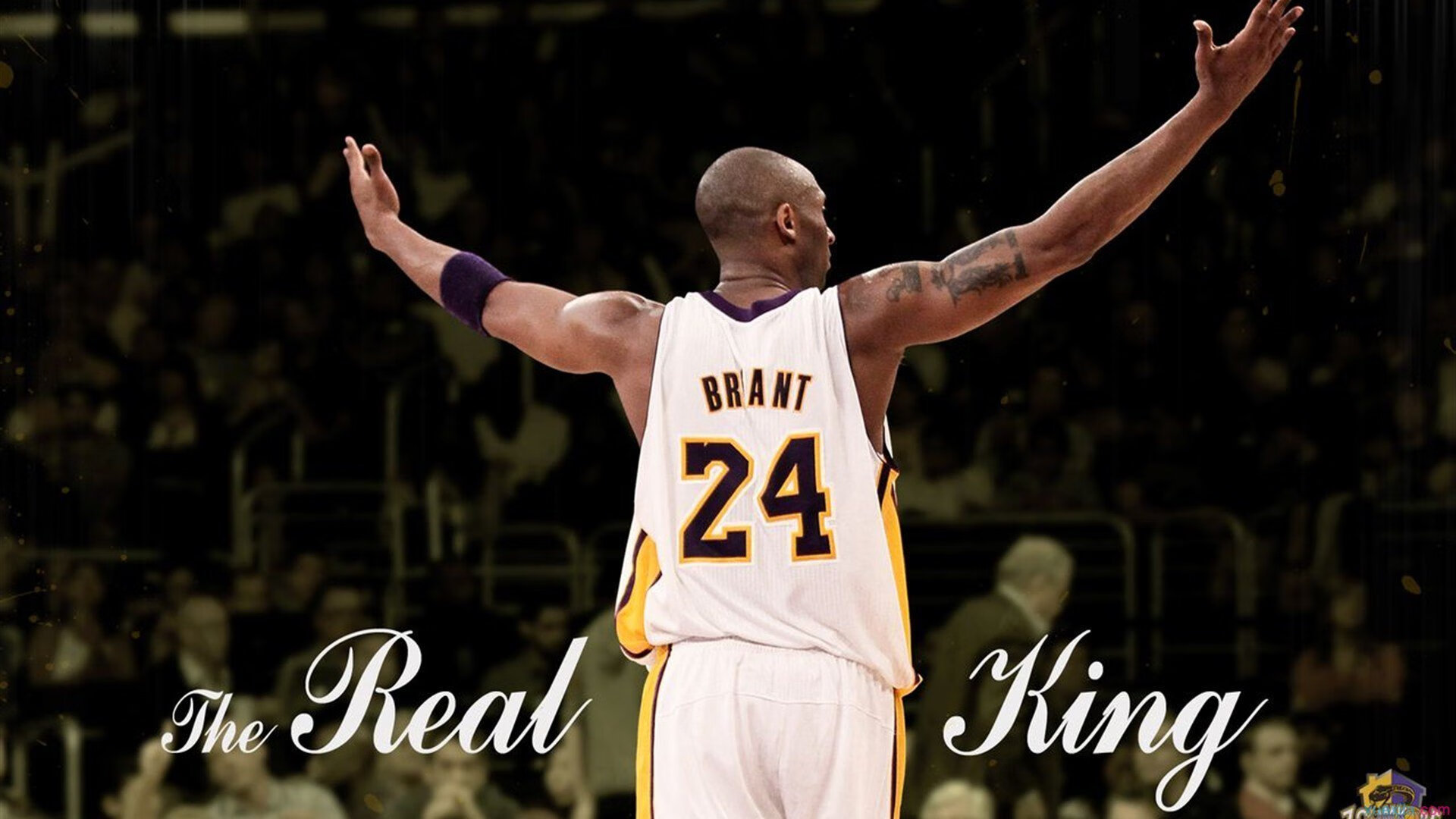 反败为胜首场状态出色，加拿大队观众沸腾！萨拉赫重返赛场观众掌声雷动的体育之夜